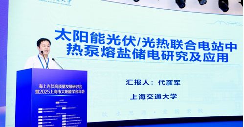 海上光伏高质量发展研讨会暨2025上海市太阳能学会年会顺利召开